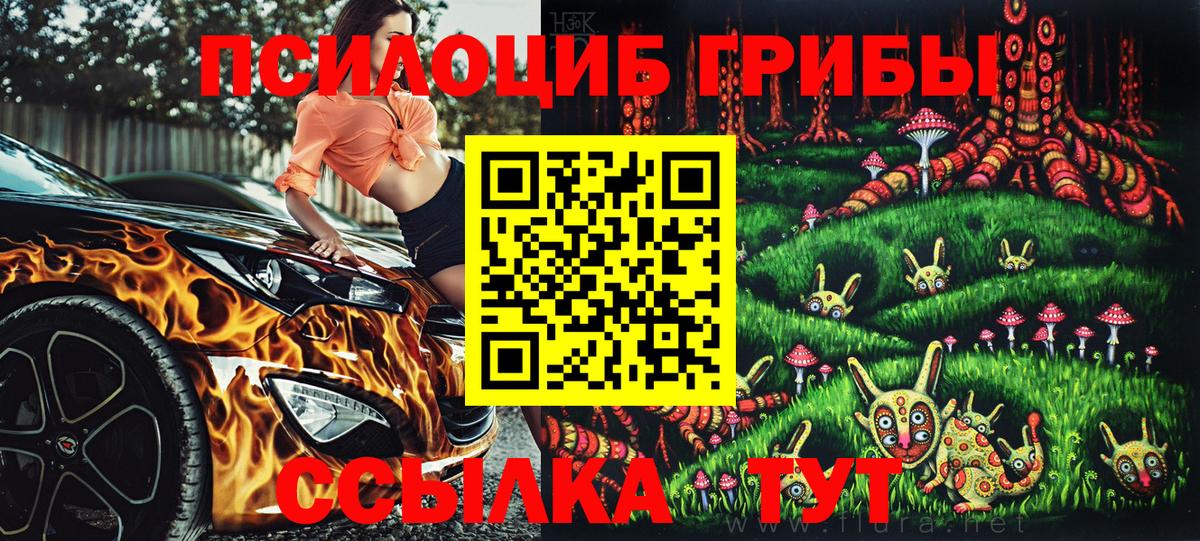 Псилоцибиновые грибы Psilocybine cubensis Тимашёвск